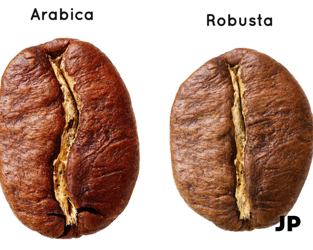 Arabica ir Robusta