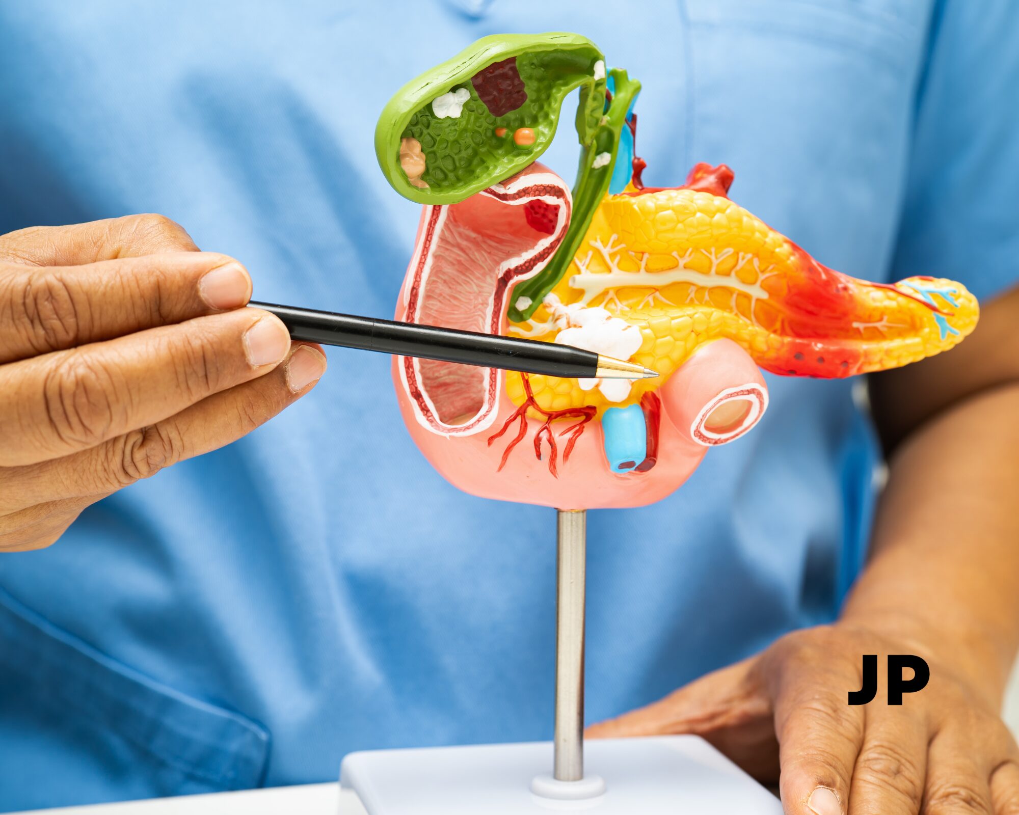 Kava ir kasa: kaip iš tikrųjų kava veikia kasos veiklą?