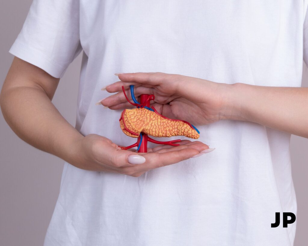 Kokia yra kasos funkcija organizme