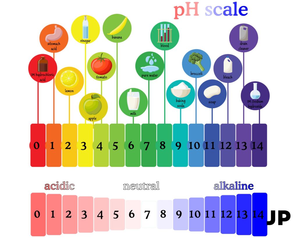 Koks skrandžio pH reikalingas efektyviam geležies pasisavinimui? Ph skalė